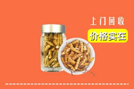 兰州市红古回收散虫草