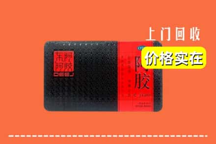 诚信求购:兰州市红古高价回收阿胶