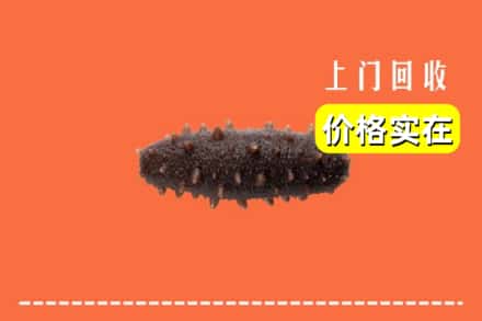 诚信求购:兰州市红古高价回收海参
