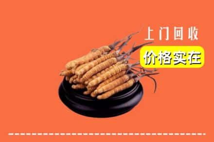 兰州市红古回收冬虫夏草
