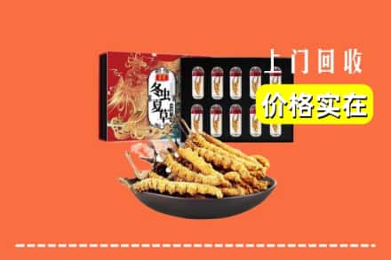 兰州市红古回收虫草
