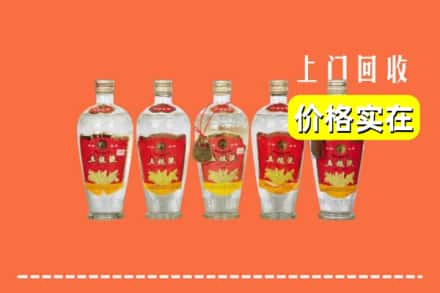 兰州市红古回收老五粮液